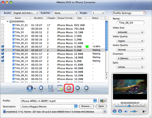 Mac DVD to iPhone converter