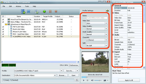 Convert FLV to MP4 Video