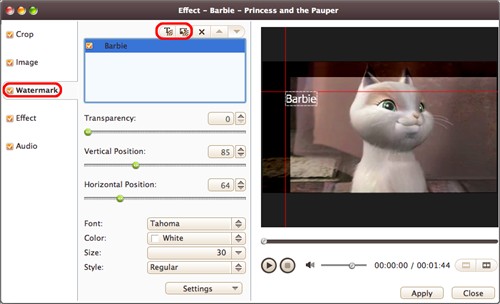 Add watermarks to video